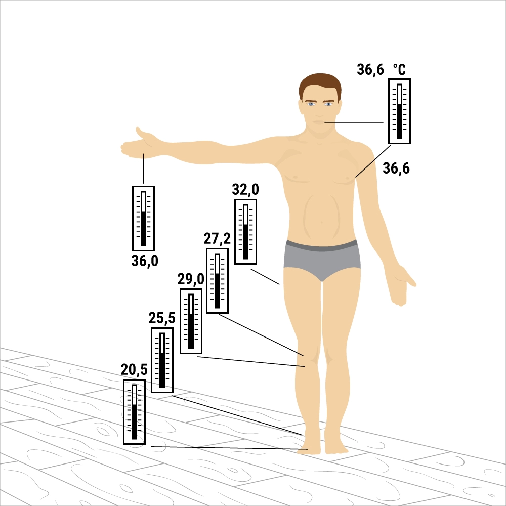 температура частей тела человека